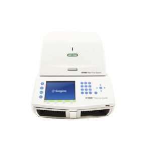 PCR detection